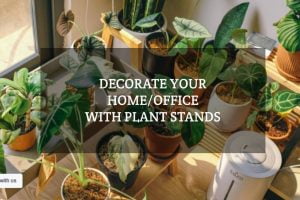 Decorate your home/office with plant stands - Gagan Enterprises