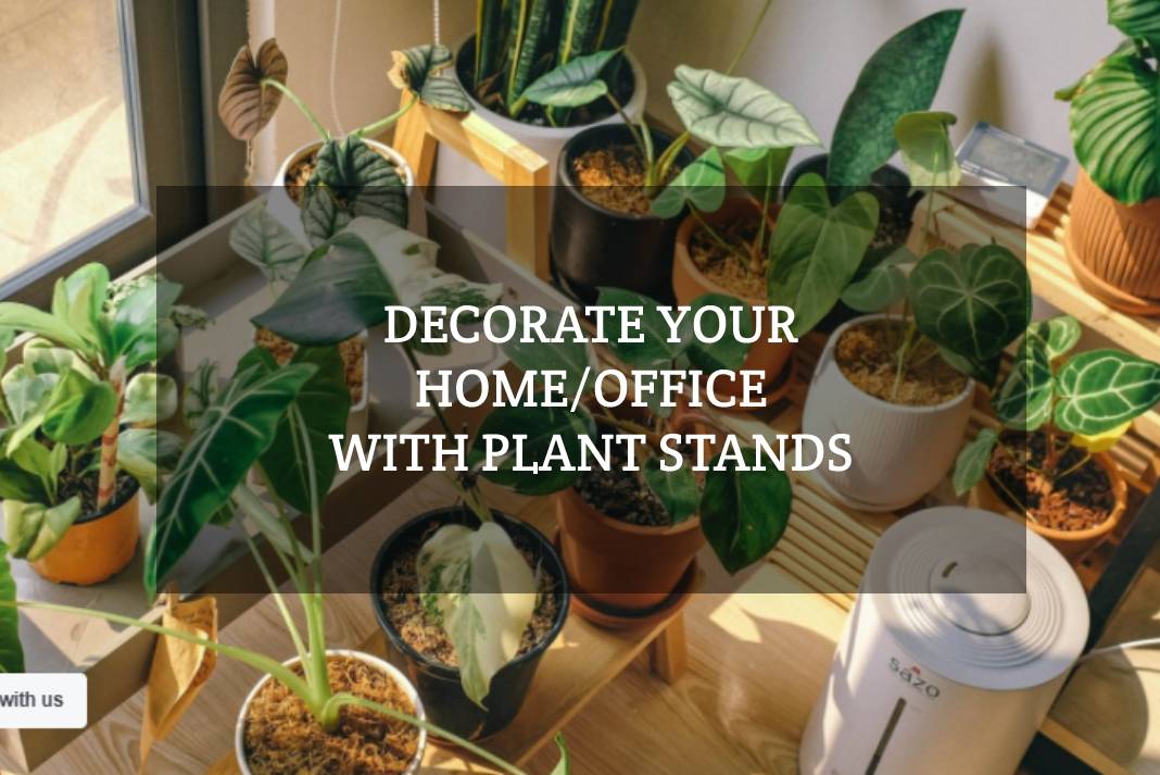 Decorate your home/office with plant stands - Gagan Enterprises
