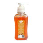 Care & Hygiene Hand Wash Sandalwood 250 ML