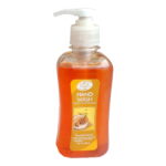 Care & Hygiene Hand Wash Sandalwood 250 ML